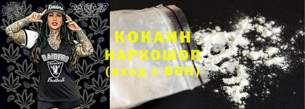 крисы Алексин