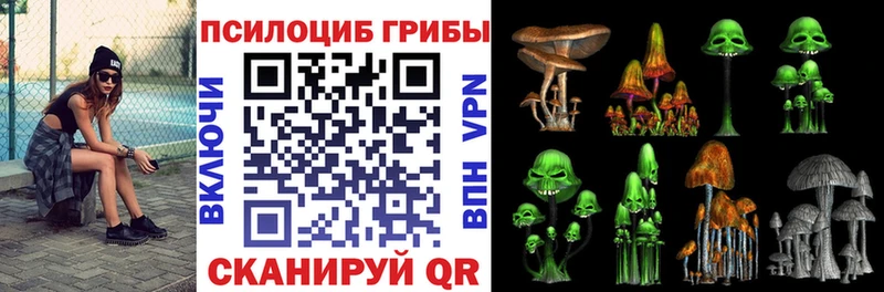 МЕГА как войти  дарнет шоп  Морозовск  Псилоцибиновые грибы мухоморы 